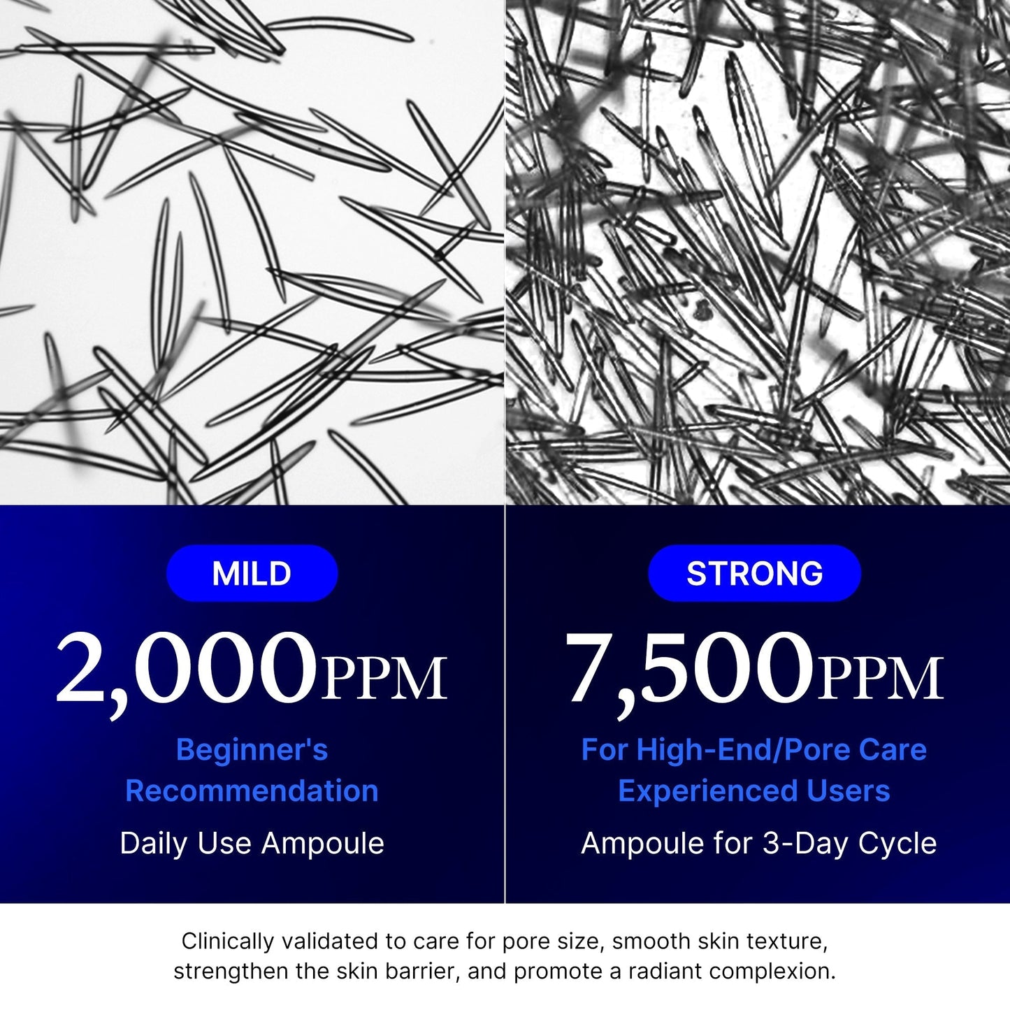 Skin Renewal Ensemble Set